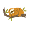 Sloth Sloths Animal Sleeping Lazy