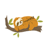 Sloth Sloths Animal Sleeping Lazy