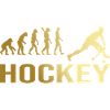 Evolution Hockey
