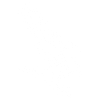 Sketch of the White Eagle