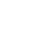 Elegant Jumping Tattoo Bottlenose dolphin