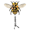 Queen Bee