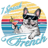 French Bulldog - Pet Dog