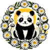 Panda Bear