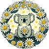 Koala Ours et Marguerites