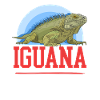 Iguana Reptile Lizard Iguanas Gift