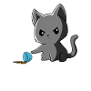 Kat - Sød kat - Sjov kat - Fræk kat - Kat Memes