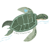 Heart Turtle: River of Tranquility