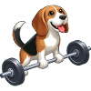 Beagle Weightlifting Workout Strength