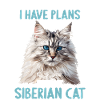 Chat Sibérien Sibirische Katze