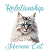 Siberian Cat Sibirische Katze
