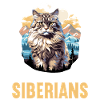 Siberian Cat Sibirische Katze
