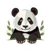 Panda géant