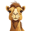 Cute Camel