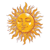 Sunny Day Dreamy Face