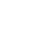 bodybuilding bodybuilder