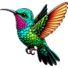 Colibri