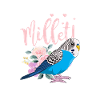 Budgie Bird Pet Parakeet Gift