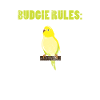 Budgerigar