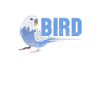 Budgerigar