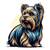 Yorkshire Terrier Yorkie
