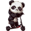 Panda Scooter
