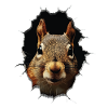 Squirrel