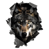 Wolf