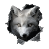 Arctic Wolf