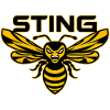 Sting: The Angry Wasp