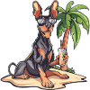 Dobermann Hund Sommer