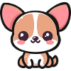 Kawaii Chihuahua!