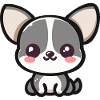 Kawaii Chihuahua!