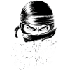 Stealth Is My Style