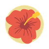 Fleur d’été