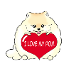 I love my Pom Cream
