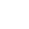 Geometric lion with elegant mane