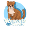 Wiesel Mauswiesel Zwergwiesel Geschenk