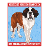 Saint-Bernard maîtresse Saint-Bernard chien cadeau