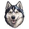 Siberian Husky
