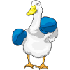 Duck Boxer Boxing Gloves Boxing