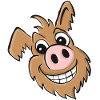 Pig dog - friendly
