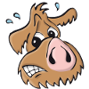 Pig dog - oops