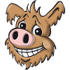 Pig dog loyal