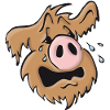 Pig dog howling