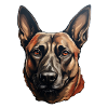 Belgian Malinois charakterstark