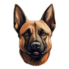 Belgian Malinois
