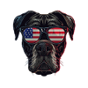 Boxer with American Sunglasses