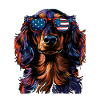 Dachshund with American Sunglasses