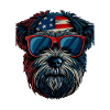 Havanese with American Sunglasses
